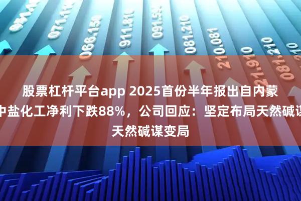 股票杠杆平台app 2025首份半年报出自内蒙古，中盐化工净利下跌88%，公司回应：坚定布局天然碱谋变局